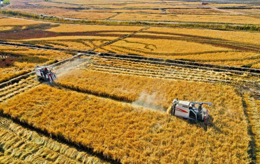 1667013341340382.jpeg?x-oss-process=style/w10 WechatIMG371.jpeg?x-oss-process=style/w10