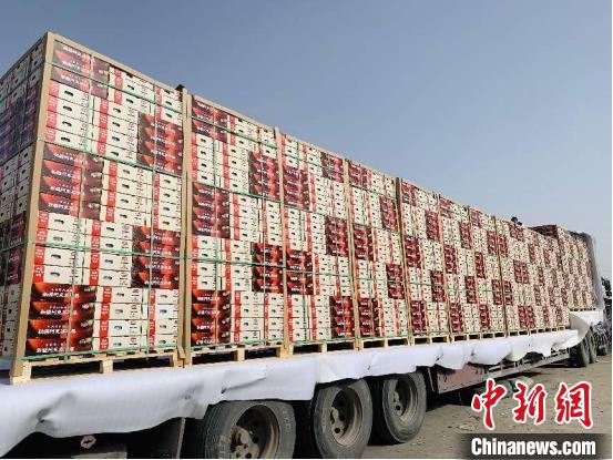 “疆果东送”千吨新疆阿克苏苹果整装待发。 浙江杭州援疆指挥部提供 “疆果东送”千吨新疆阿克苏苹果整装待发。 浙江杭州援疆指挥部提供