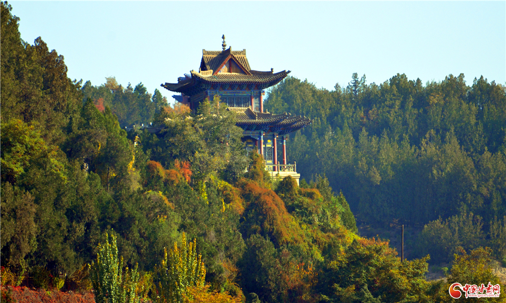 【陇拍客】冬阳暖白塔 秋景意正浓