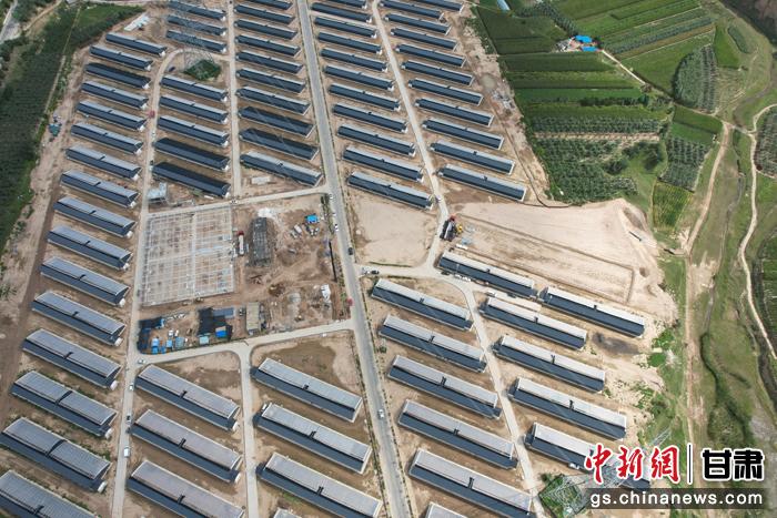 农业产业园绿色设施蔬菜生产基地一角。