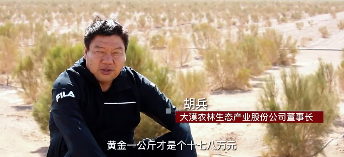 飞 天 故 里 追 梦 人 大 漠 淘 金