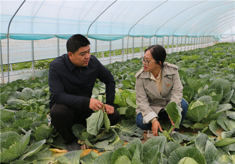 潘蕙兰（右一）在甘肃陇之味生态农业科技有限公司走访调研了解惠农政策落实情况。.jpg