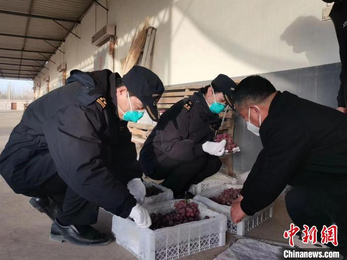 《无极五娱乐怎么样?_【甘快看】“甘味”农特产品为媒 甘肃与泰国经贸合作拓领域》