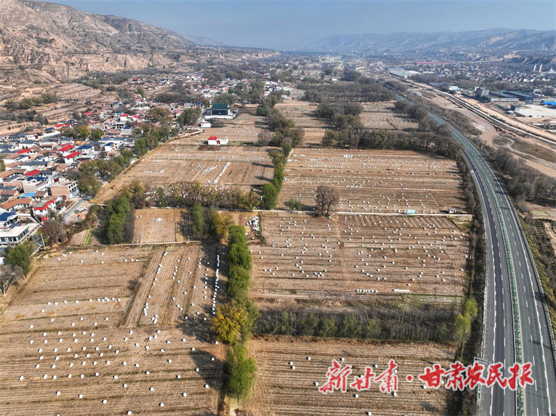 微信图片_20221122110856