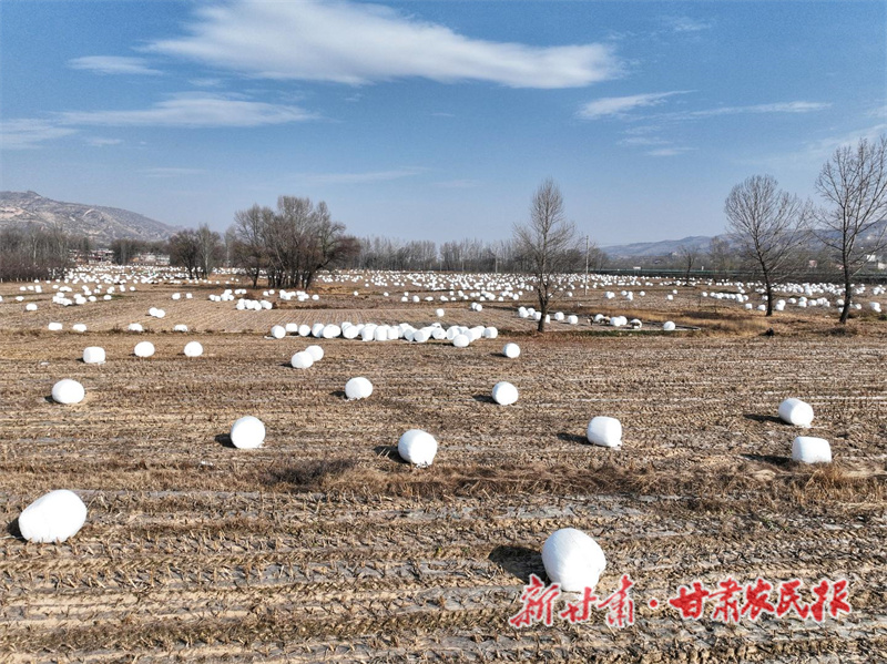 微信图片_20221122110927