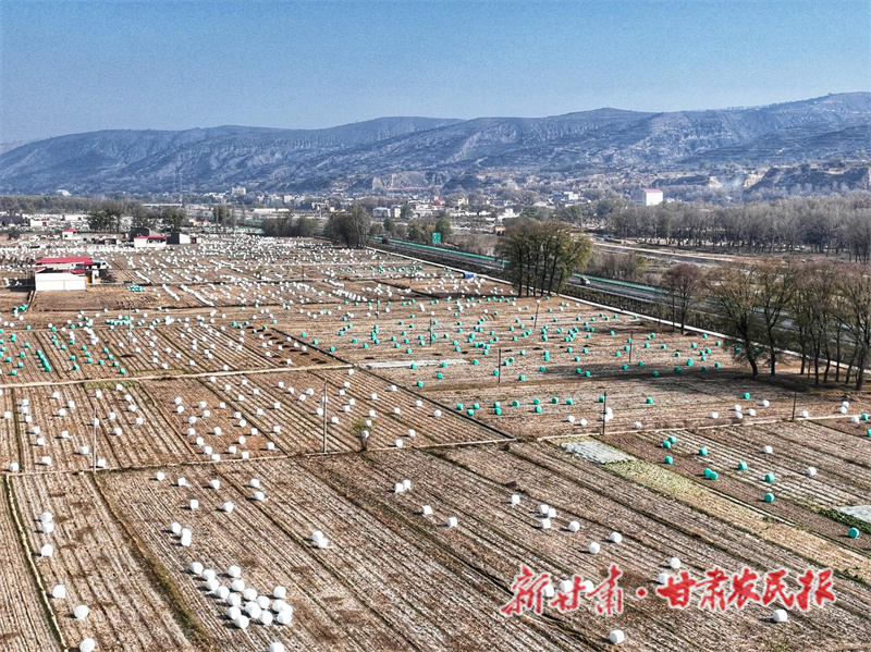 微信图片_20221122110902