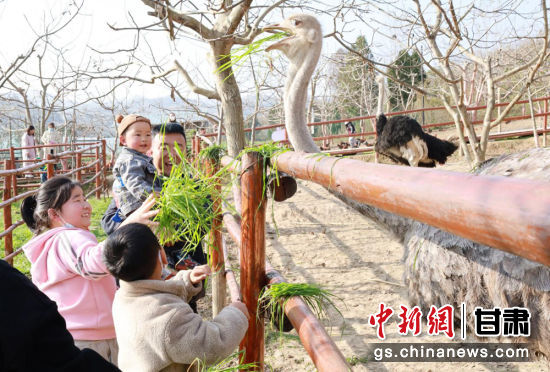 【甘快看】陇南成县：农场成为“打卡地” 农旅融合“钱”景好