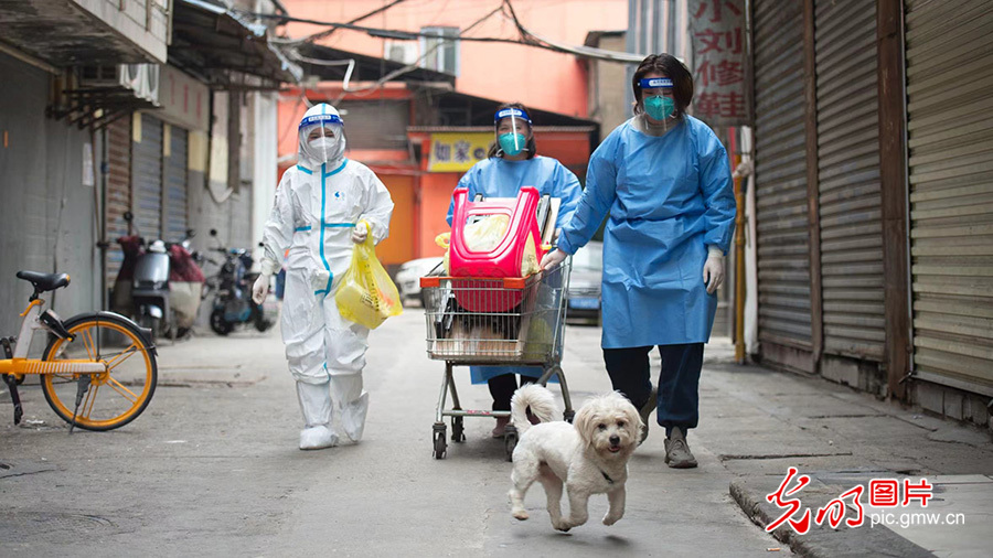 【同舟共济·同心抗疫】齐心战疫守护群众生命健康防线