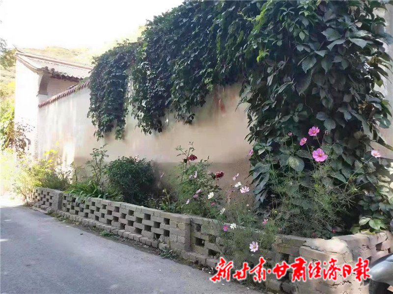 农户院落