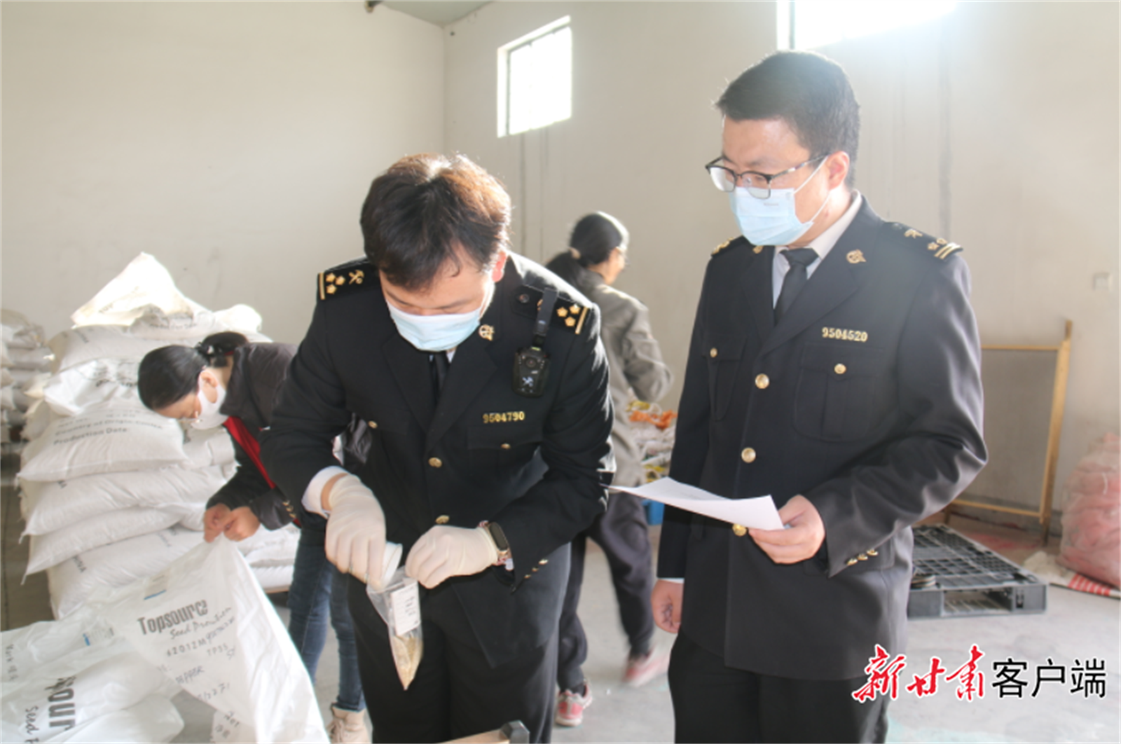 兰州海关所属酒泉海关关员查验出口蔬菜种子.jpg 兰州海关所属酒泉海关关员查验出口蔬菜种子.jpg