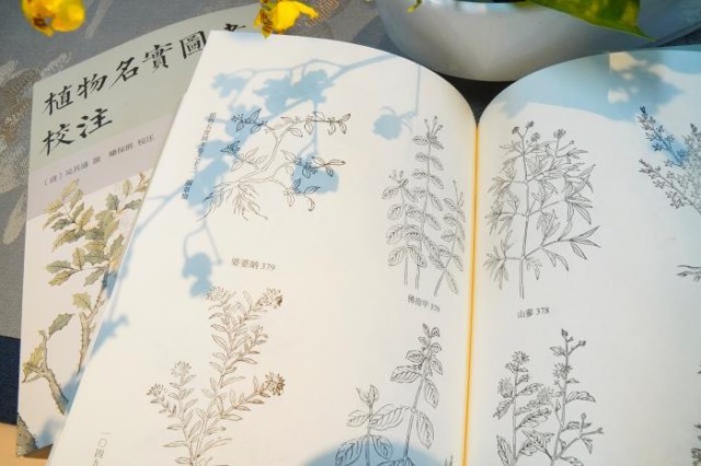 《植物名实图考校注》内页。图片来源：中华书局供图