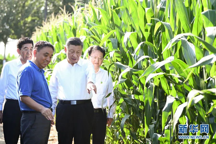 学习语 | 大力推进农业农村现代化