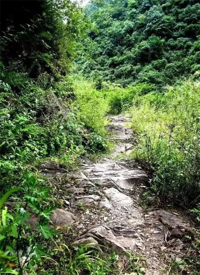 陇南康县茶马古道，一条千年的商贸通道！