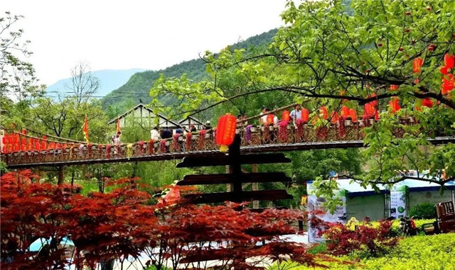 陇南康县茶马古道，一条千年的商贸通道！