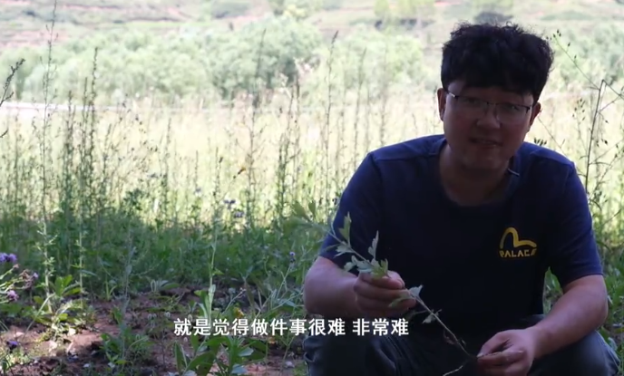 渭源篇——小树种艾记