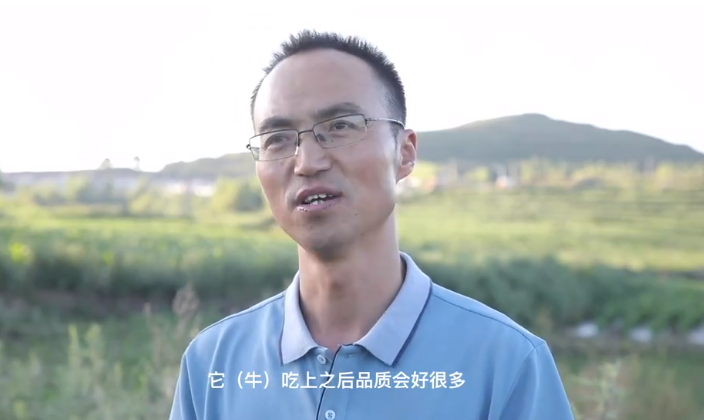 平凉篇——光阴的花火·何止青绿