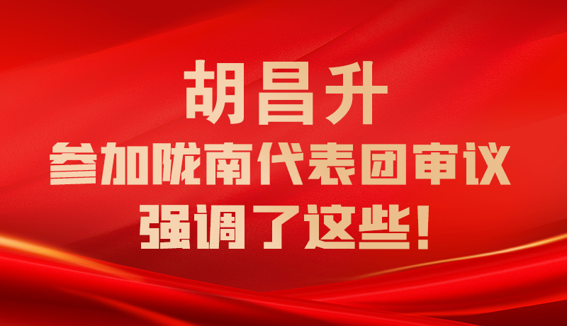 图解|胡昌升参加陇南代表团审议 强调了这些！