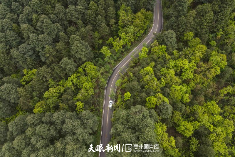 1675223553515937.jpg 341043-2021年4月21日,在贵州省毕节市七星关区拍摄的拱拢坪国家森林公园(无人机照片)。.jpg