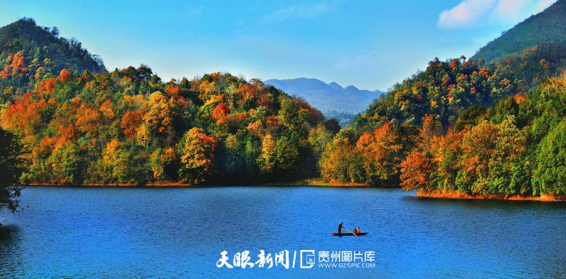 1675222230801345.jpg 1128-百里杜鹃湖-罗冠宇.jpg
