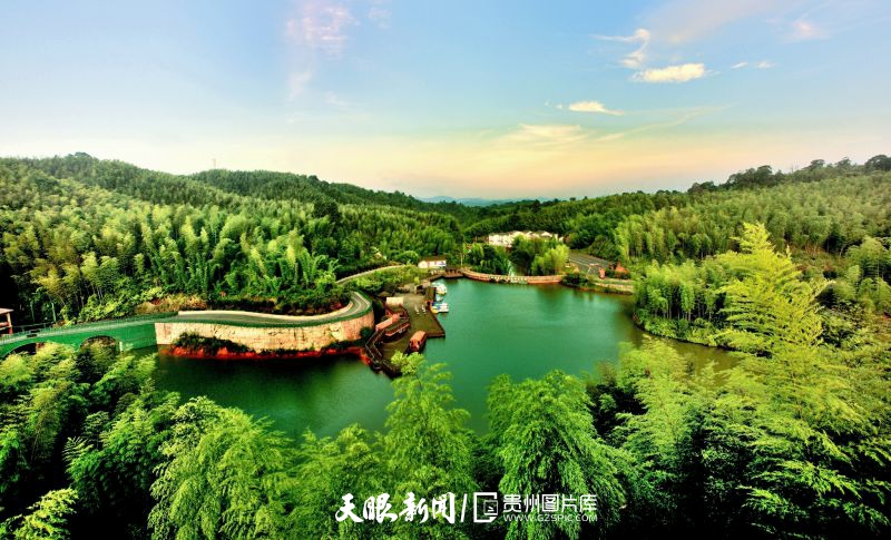 1675236310887732.jpg 370765-赤水竹海国家森林公园(王茂祥摄).jpg