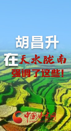 图解|胡昌升在天水陇南调研时强调了这些！