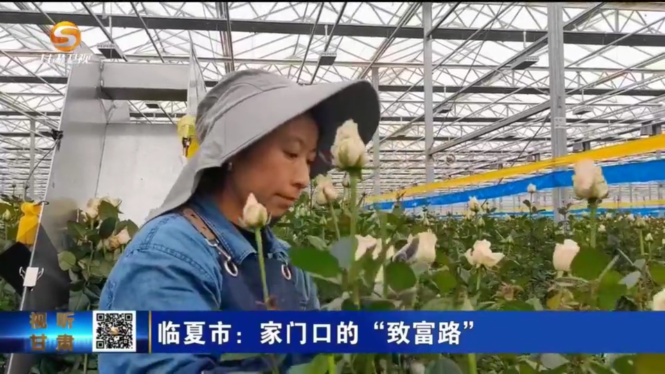 复制图片