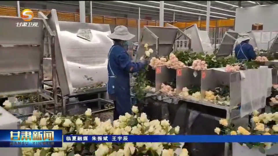 复制图片