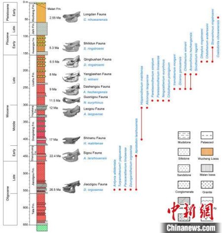 非洲和伊朗这两种犀牛的“祖先”找到了！在中国临夏盆地