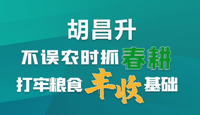 图解|胡昌升：不误农时抓春耕打牢粮食丰收基础