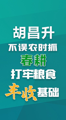 图解|胡昌升：不误农时抓春耕打牢粮食丰收基础