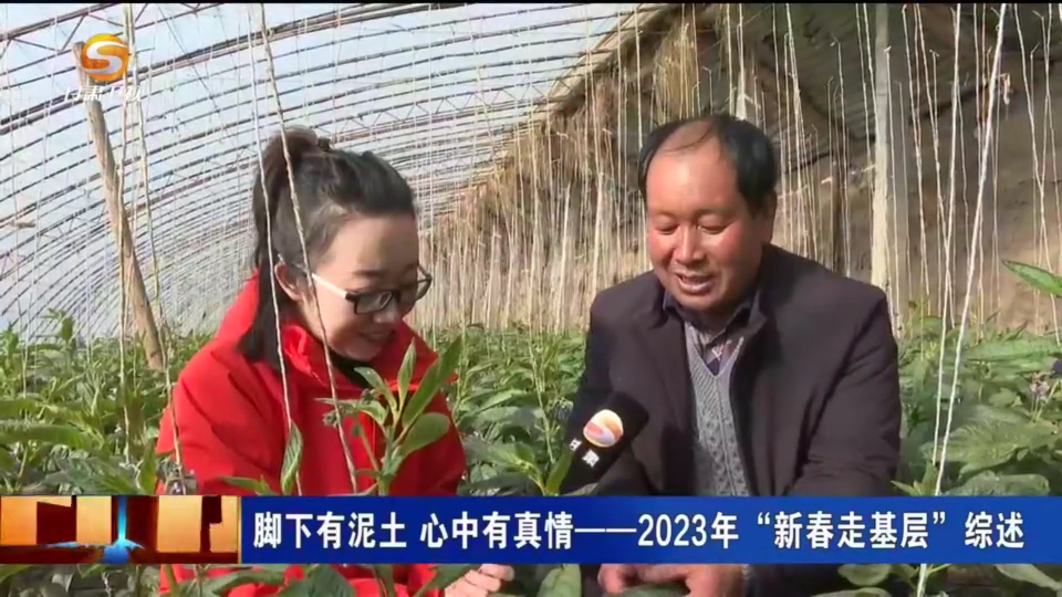 复制图片