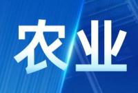 【喜讯】甘肃2022年度粮食生产两次通报表扬