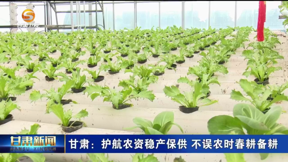 复制图片