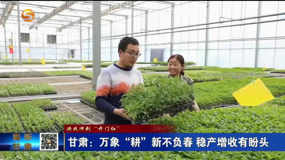 复制图片