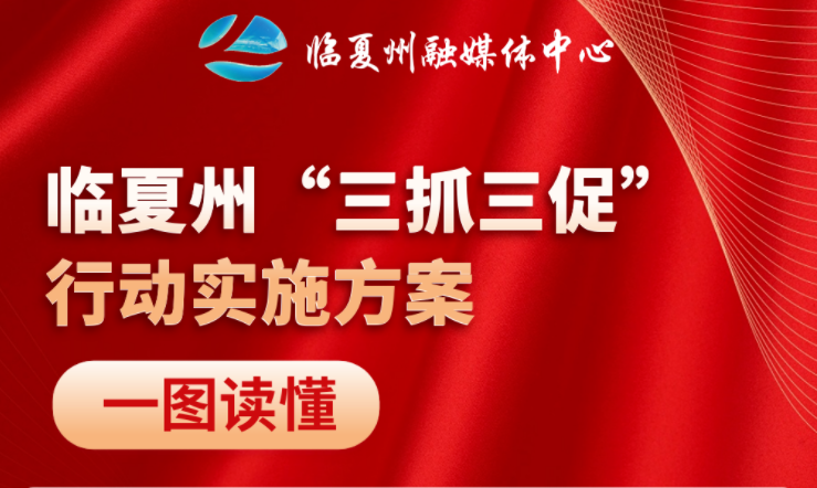 【一图读懂】临夏州“三抓三促”行动怎么干？