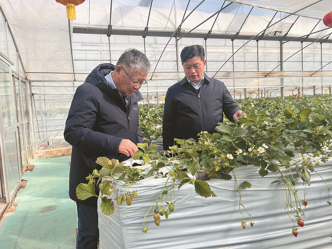 全国脱贫攻坚楷模赵亚夫和镇江市丹徒区世业镇副镇长、先锋村第一书记聂永平(右)。 钱飞 摄 全国脱贫攻坚楷模赵亚夫和镇江市丹徒区世业镇副镇长、先锋村第一书记聂永平(右)。 钱飞 摄