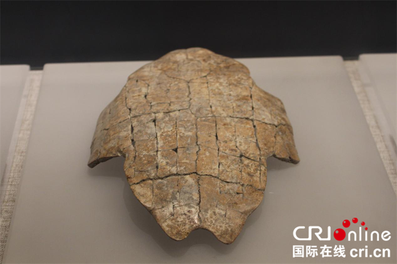【写意中国探寻汉字起源】河南博物院:文物之间窥见汉字风华_fororder_图片43_副本