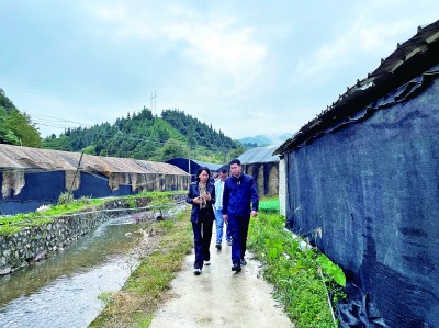 民有所呼,我有所应 民有所呼,我有所应