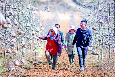 民有所呼,我有所应 民有所呼,我有所应