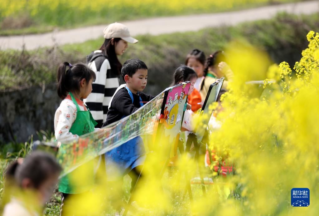 湖南资兴:油菜花田“画春天”