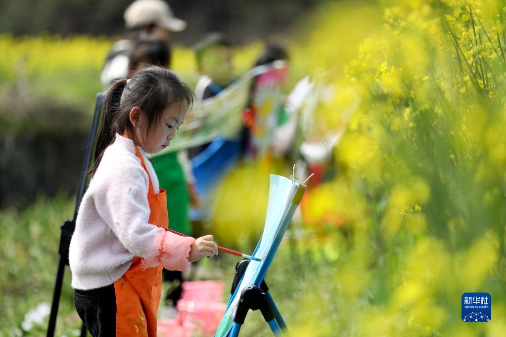 湖南资兴:油菜花田“画春天”