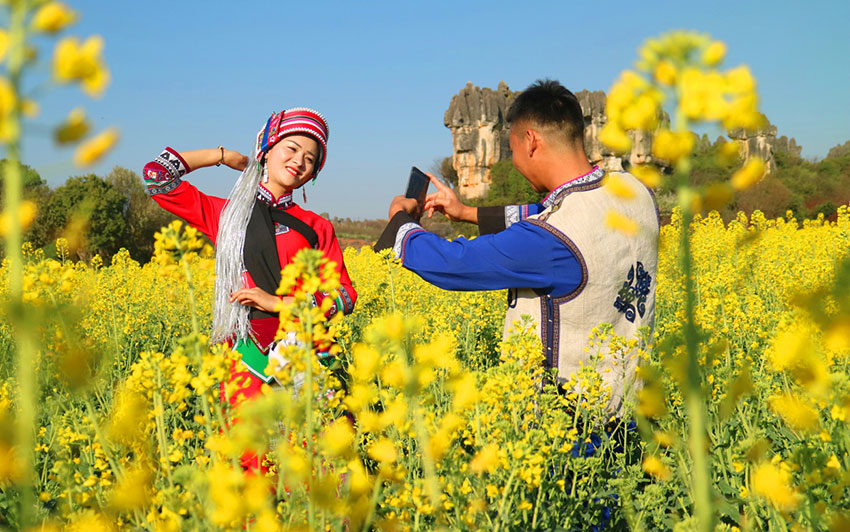 乃古石林最美春花季如约而至。石林风景名胜区管理局供图（资料图）