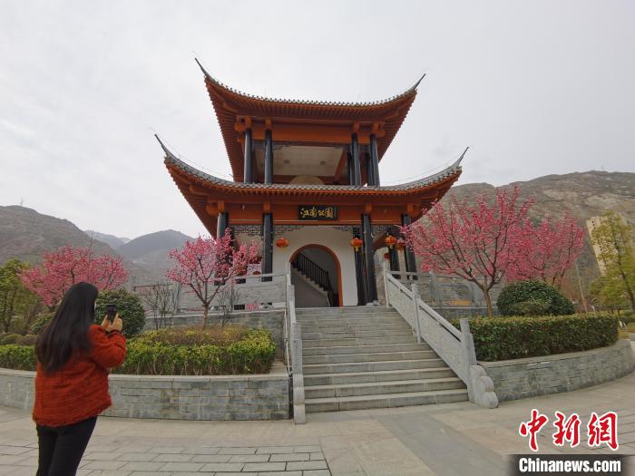 3月初，陇南市武都区春来早，江南公园桃花盛开。　闫姣 摄