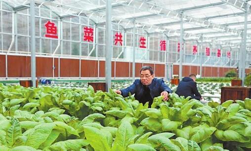 成县探索发展生态休闲观光农业新模式