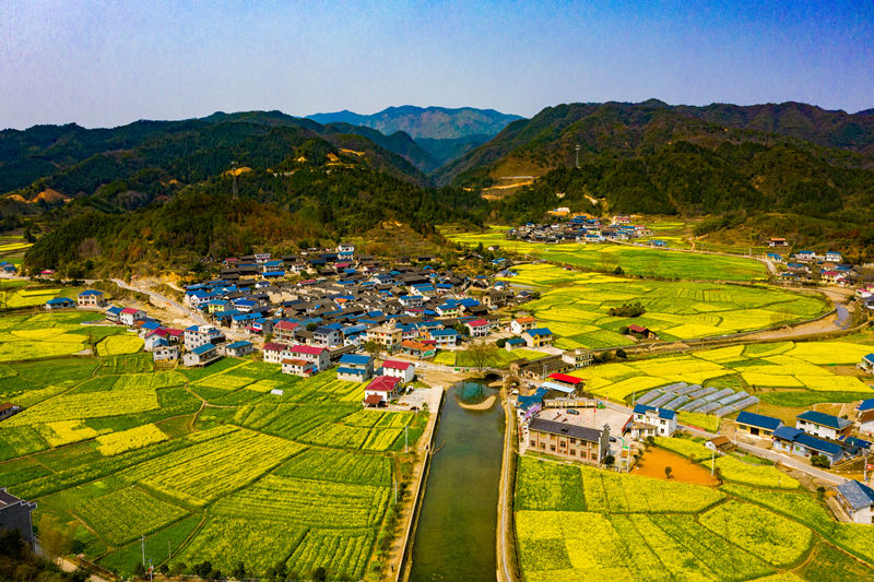 中方县黄溪古村油菜花盛开的稻田、流淌的溪水，古老的村庄和现代的民居构成了一幅美丽的春日画卷。田文国摄