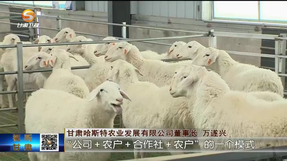 复制图片