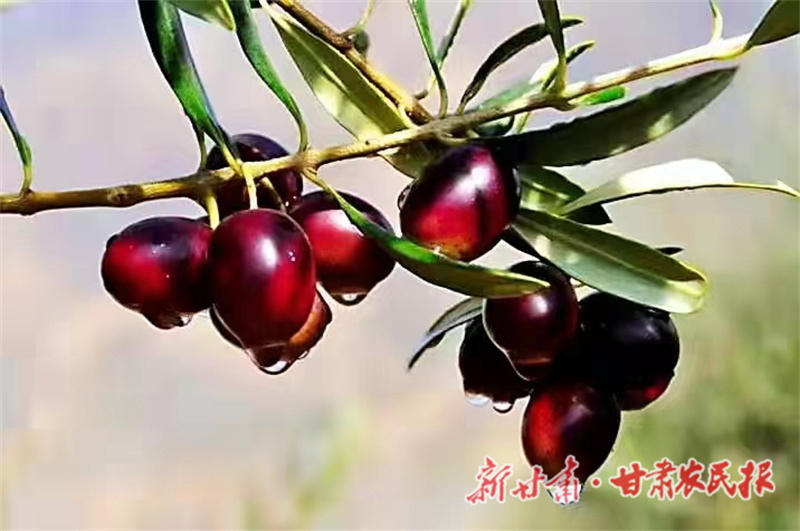 微信图片_20230315182258