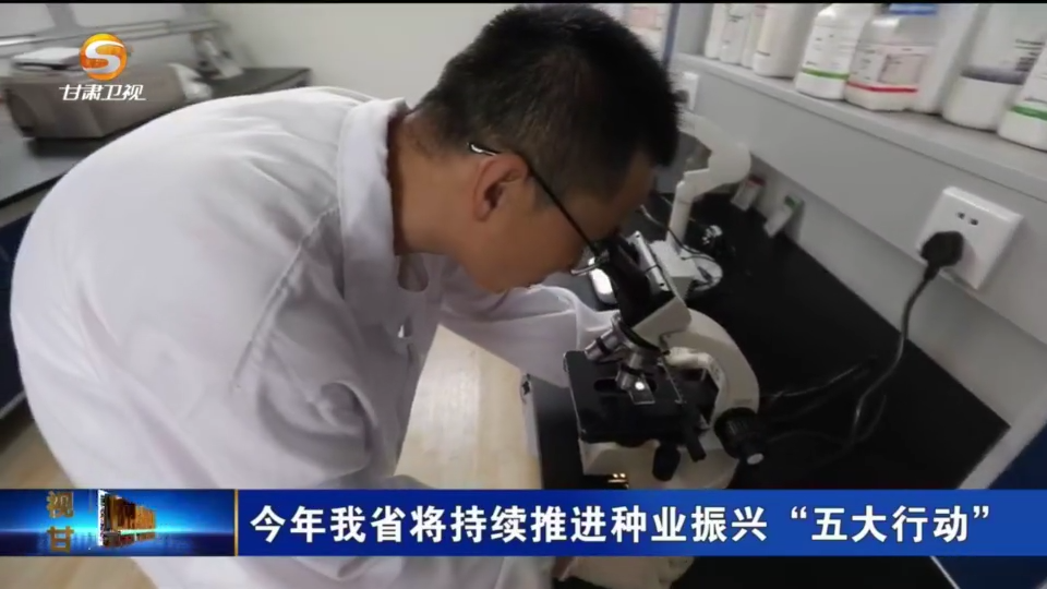 复制图片