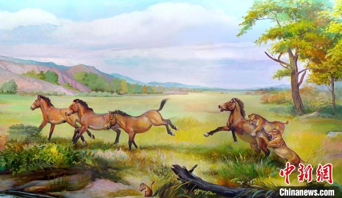 数百万年前马的祖先都吃草？中科院团队最新研究突破传统认知