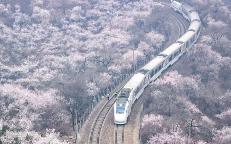 北京S2线“长城号”列车穿越花海